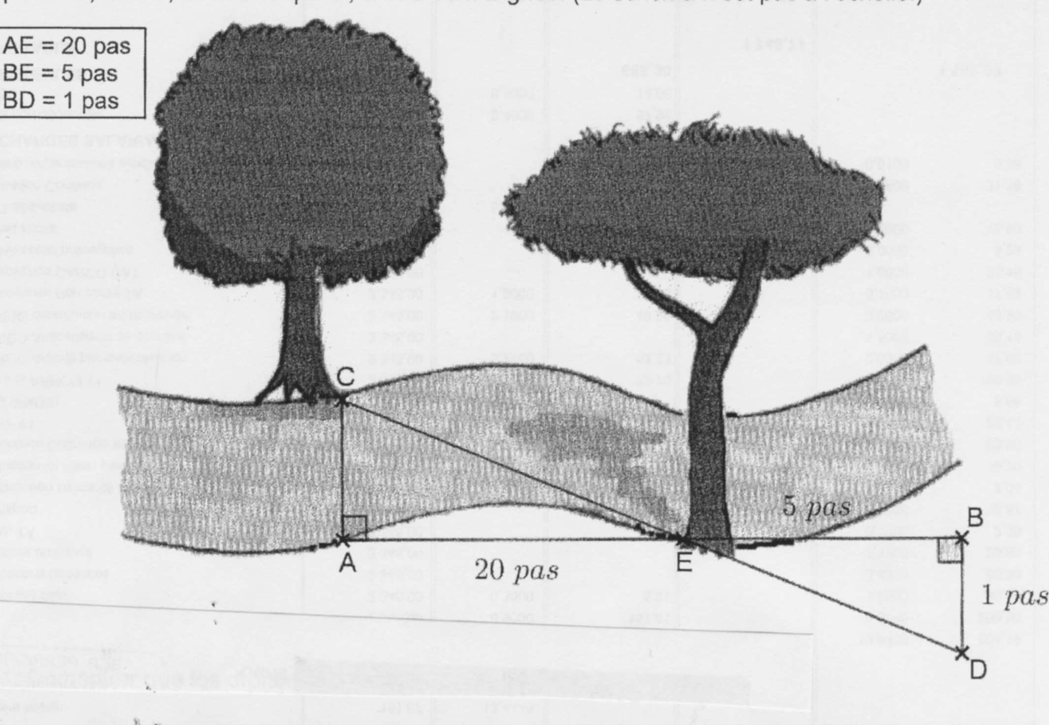 Aperçu de la figure de l'exercice