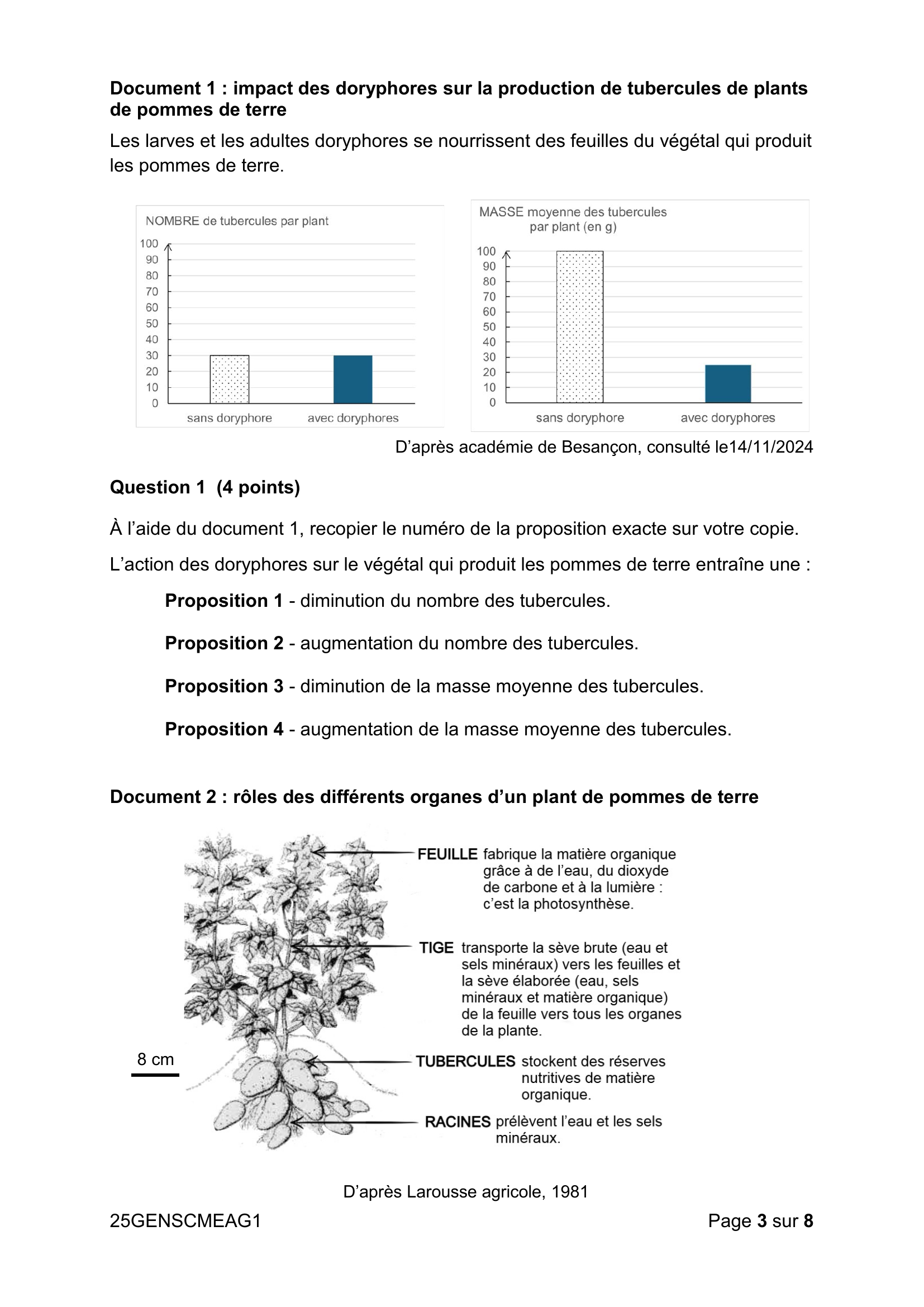 Document 1 (graphiques) et Document 2 (organes du plant)